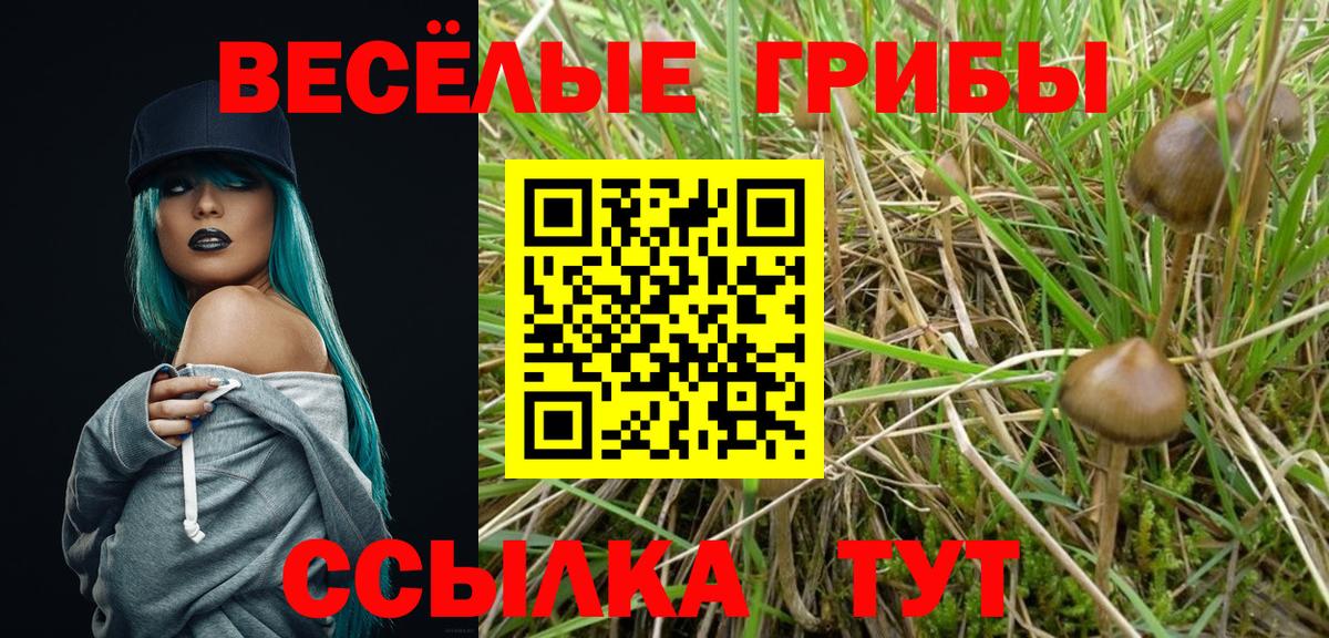 Галлюциногенные грибы MAGIC MUSHROOMS Алейск